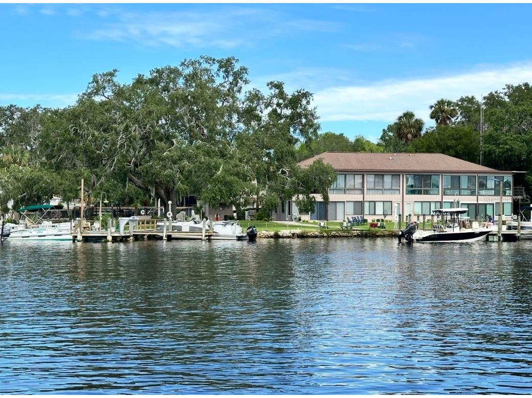 5111 S Gray Pelican Way #5111 Homosassa FL 34448 TB8402052 image46