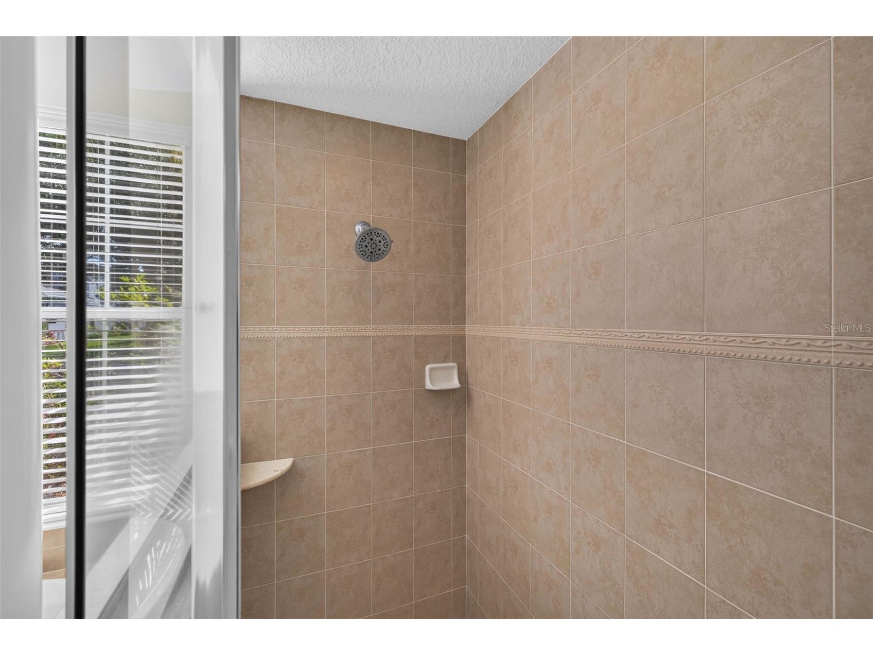 5112 Abisher Wood Lane Brandon FL 33511 TB8520437 image26