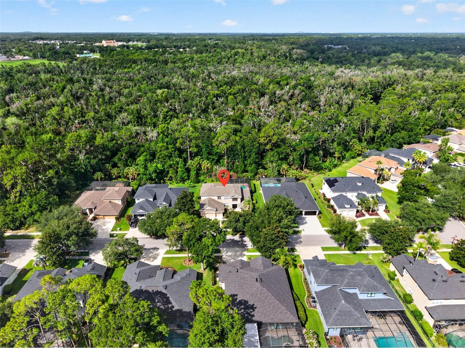 5112 Abisher Wood Lane Brandon FL 33511 TB8520437 image46