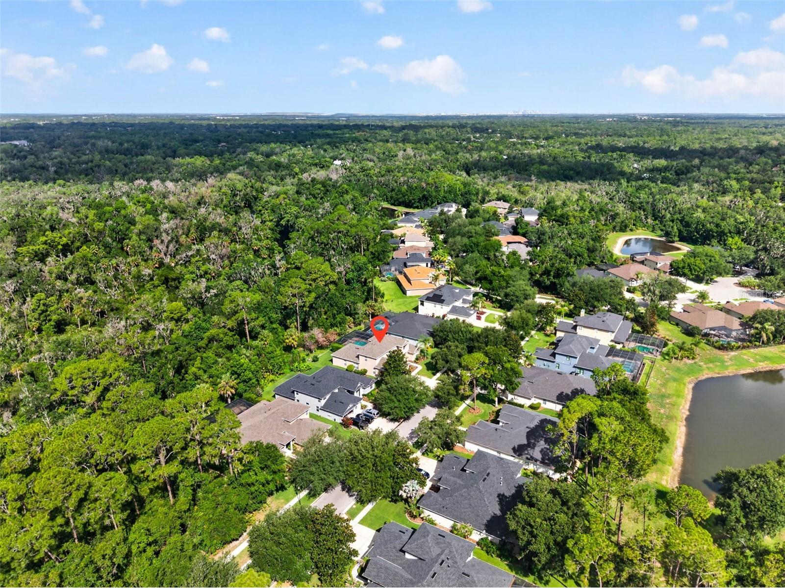 5112 Abisher Wood Lane Brandon FL 33511 TB8520437 image47
