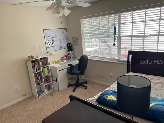5112 Bayshore Boulevard Tampa FL 33611 TB8507941 image24