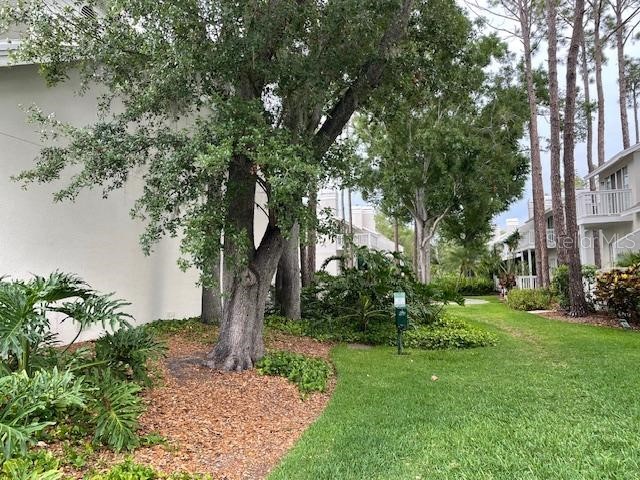 5112 Bayshore Boulevard Tampa FL 33611 TB8507941 image29
