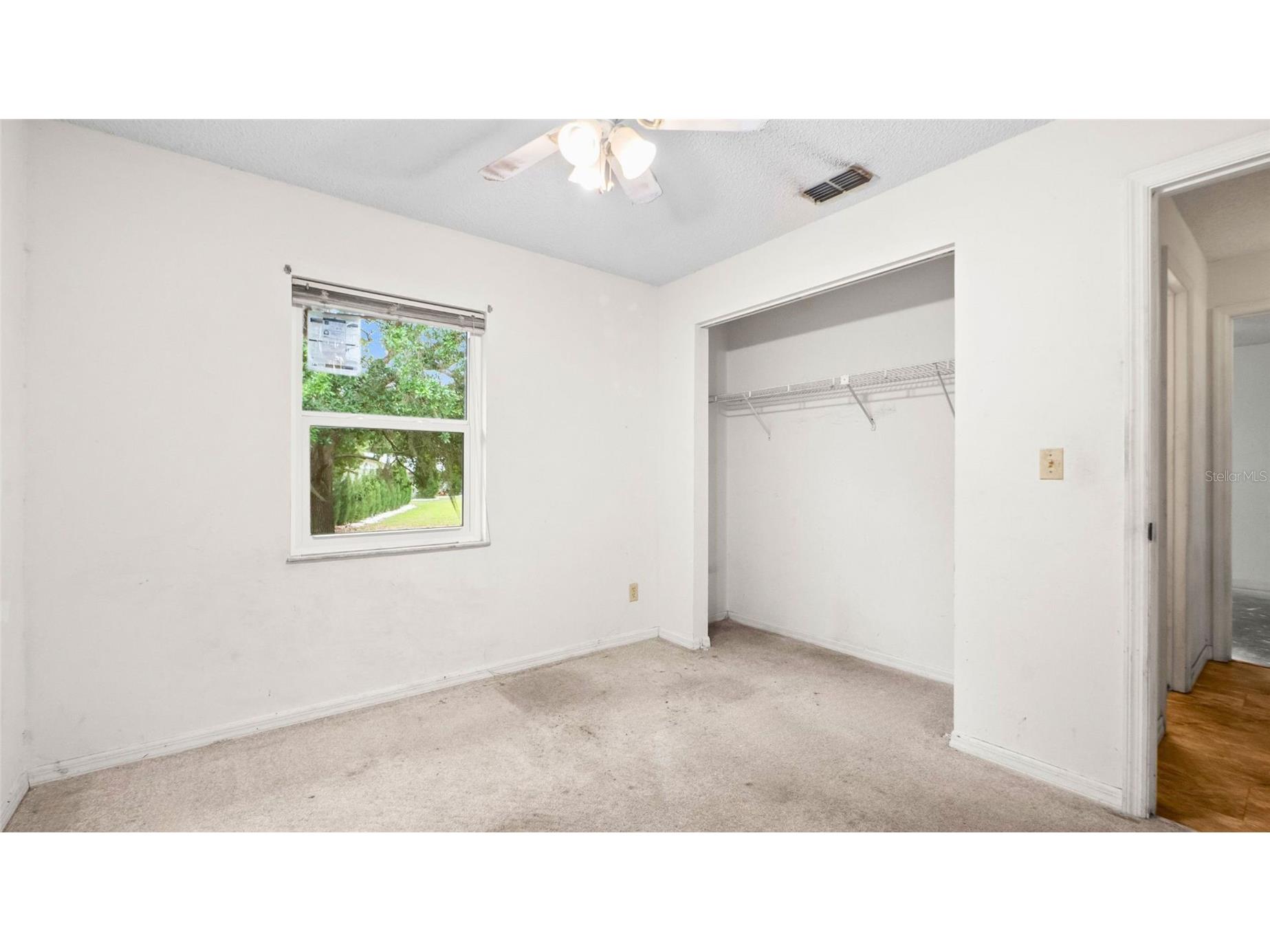 5112 Bernadette Drive Zephyrhills FL 33541 TB8495650 image13