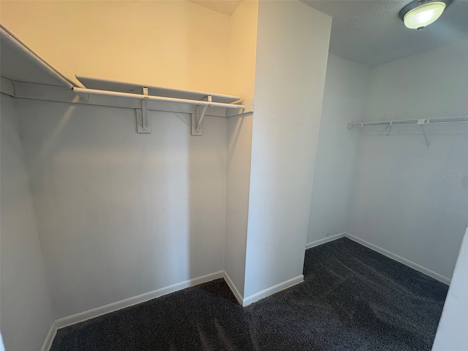 5112 Bonnedale Court Tampa FL 33624 TB8507928 image13