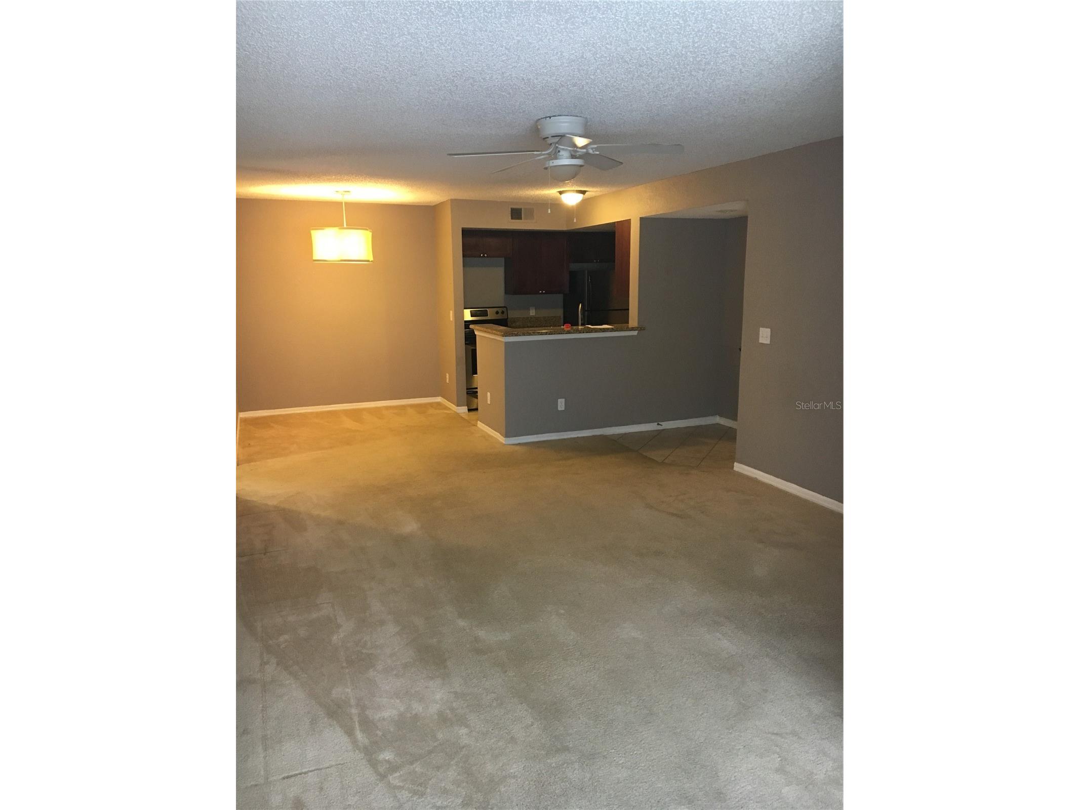 5112 Conroy Road #315 Orlando FL 32811 O6413288 image10