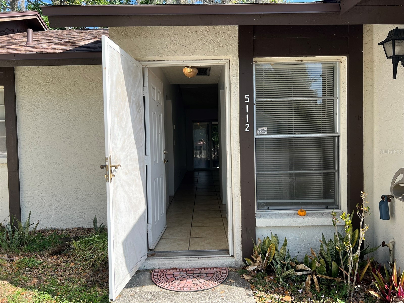 5112 Gainsville Drive Temple Terrace FL 33617 TB8493164 image3