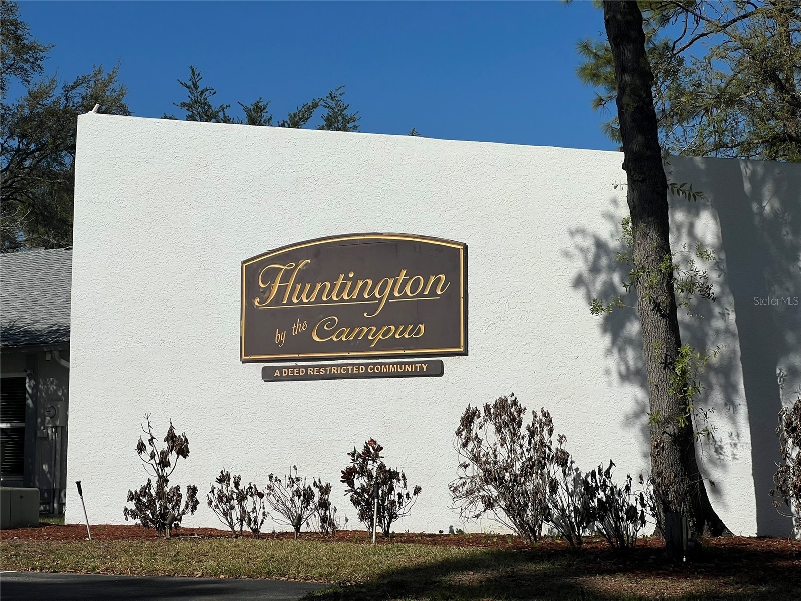 5112 Gainsville Drive Temple Terrace FL 33617 TB8493164 image35