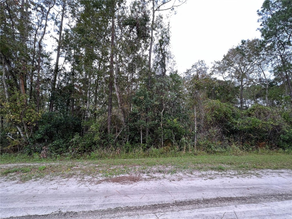 5112 Mahogany Boulevard Bunnell FL 32110 FC287572 image1