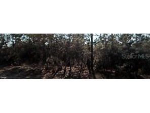 5112 N Wayne Drive Beverly Hills FL 34465 T3470449 image1