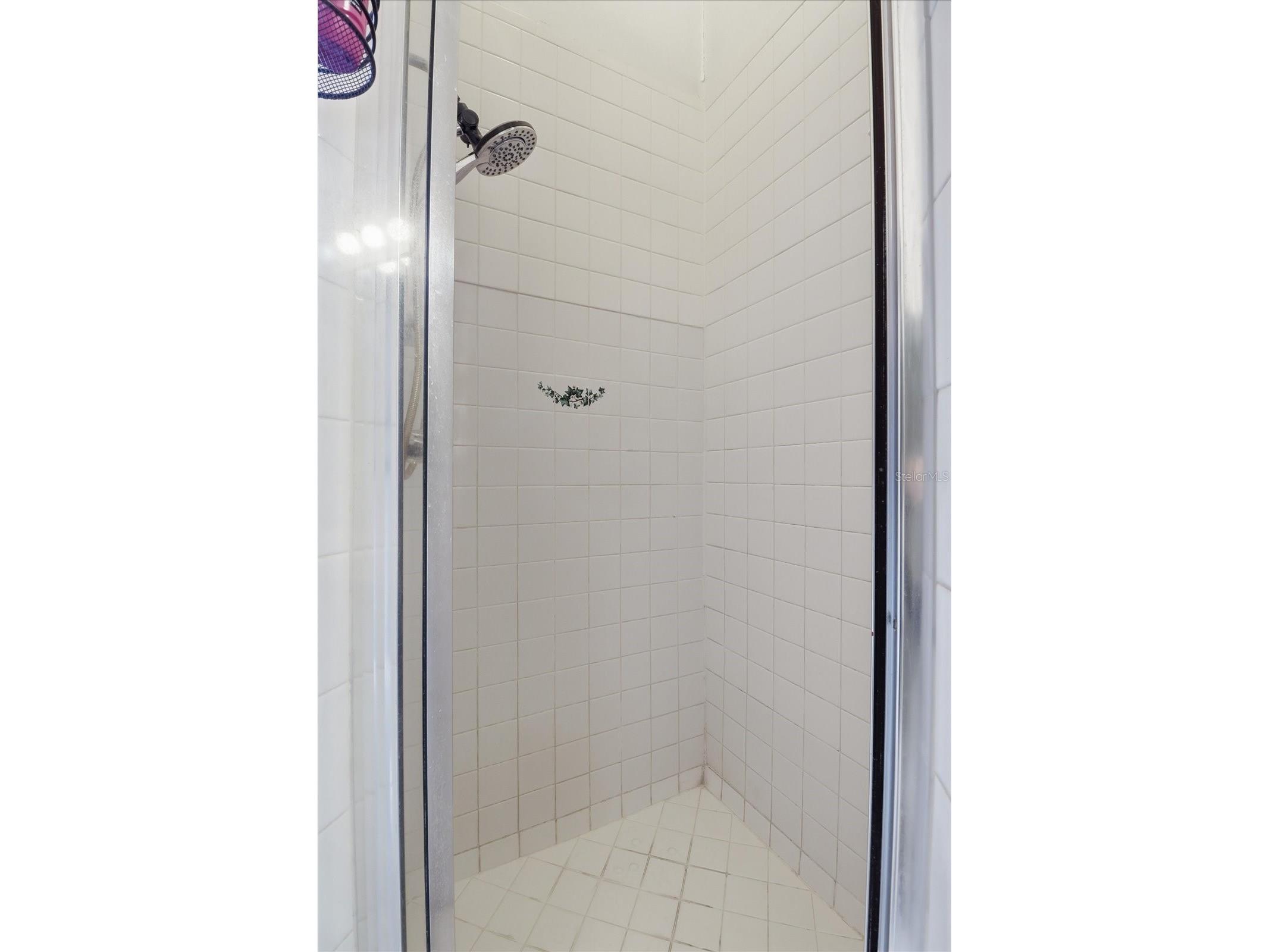 5112 Parkway Boulevard Land O Lakes FL 34639 OM718133 image19