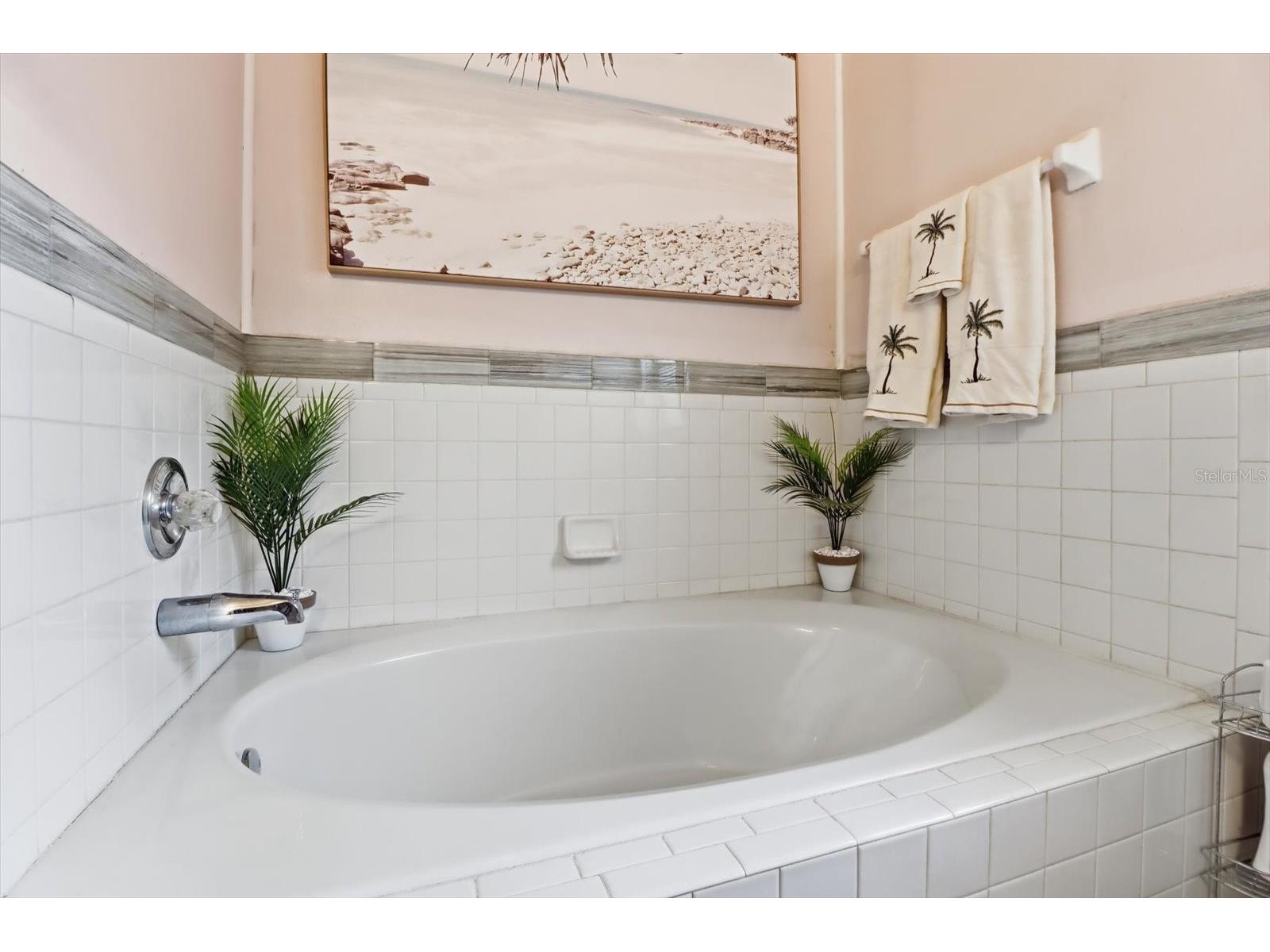 5112 Parkway Boulevard Land O Lakes FL 34639 OM718133 image20