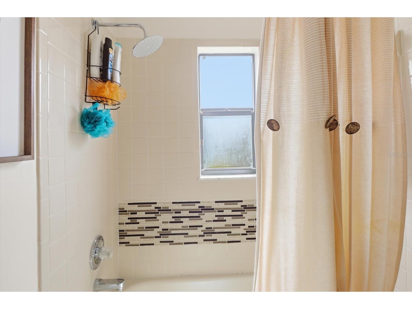 5112 Parkway Boulevard Land O Lakes FL 34639 OM718133 image24