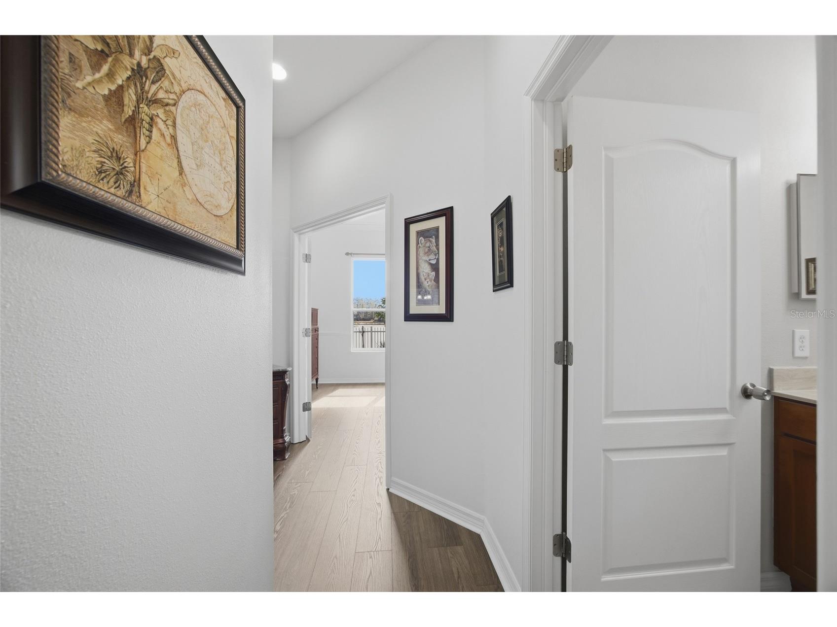 5112 Pheasant Woods Drive Lutz FL 33558 TB8477569 image23