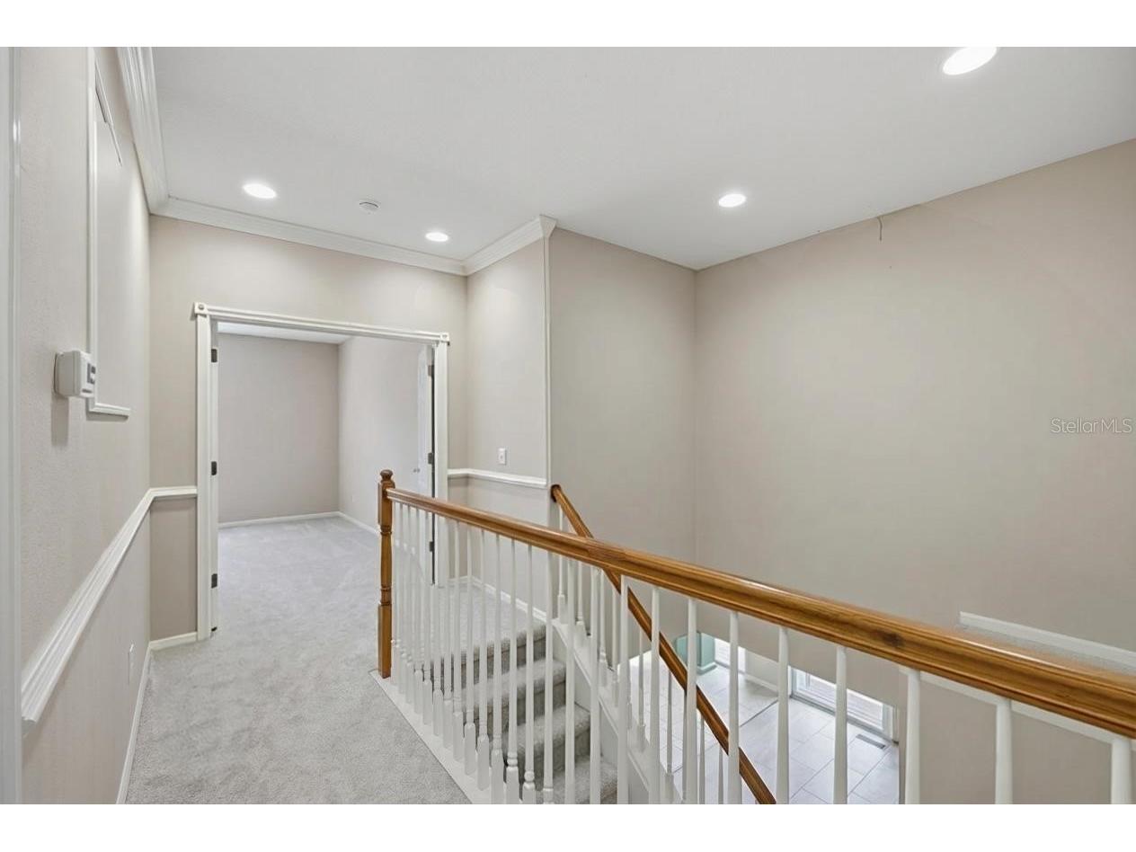 5112 Pheasant Woods Drive Lutz FL 33558 TB8477569 image29