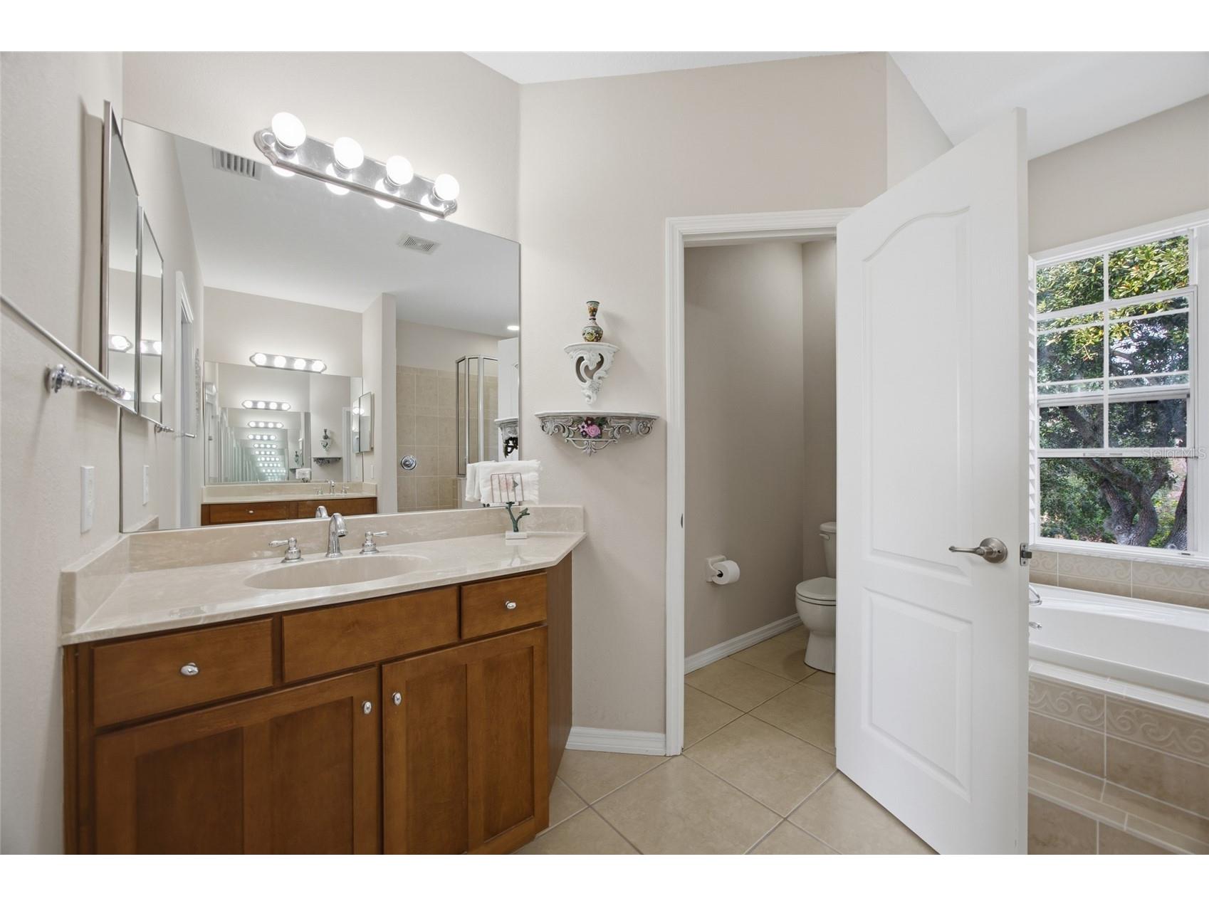 5112 Pheasant Woods Drive Lutz FL 33558 TB8477569 image32