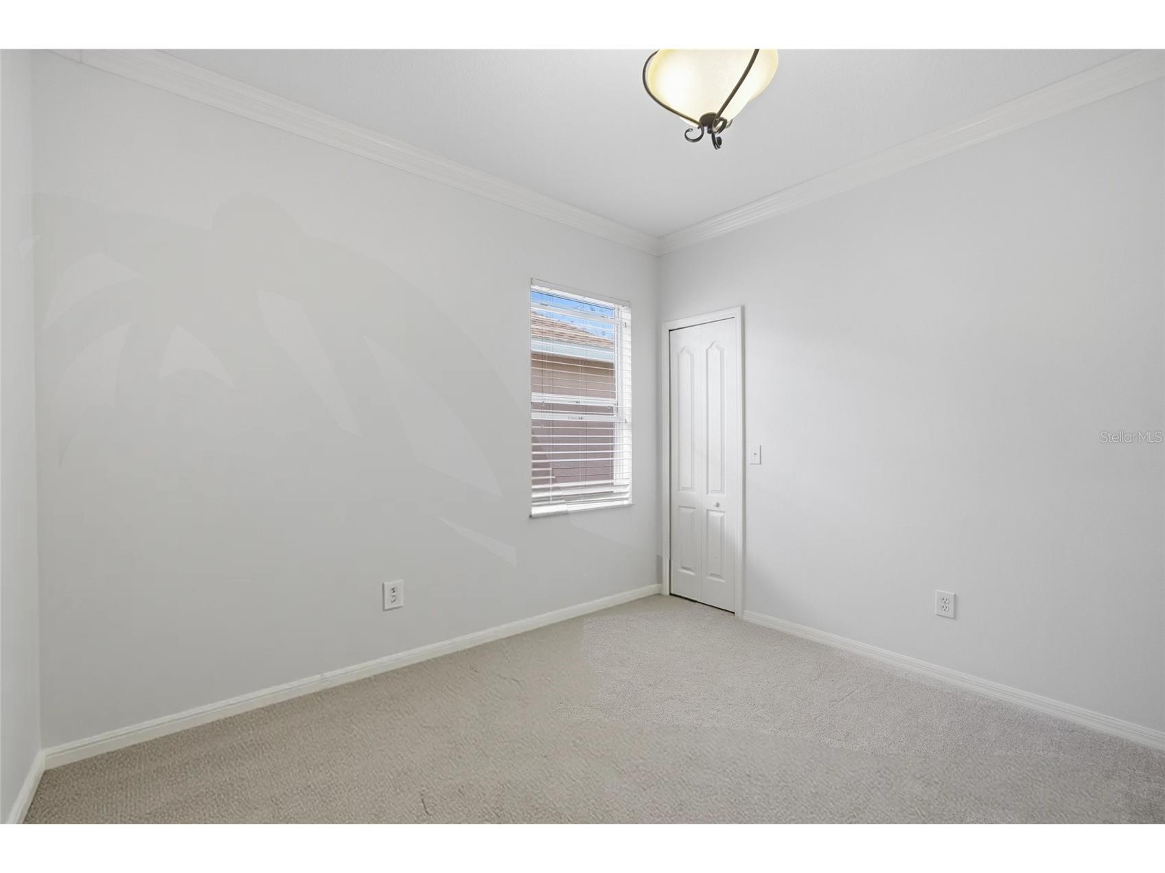 5112 Pheasant Woods Drive Lutz FL 33558 TB8477569 image38