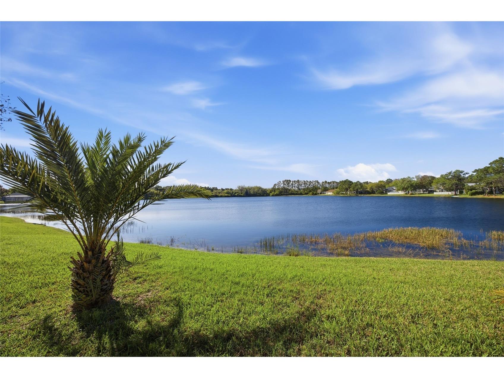 5112 Pheasant Woods Drive Lutz FL 33558 TB8477569 image44