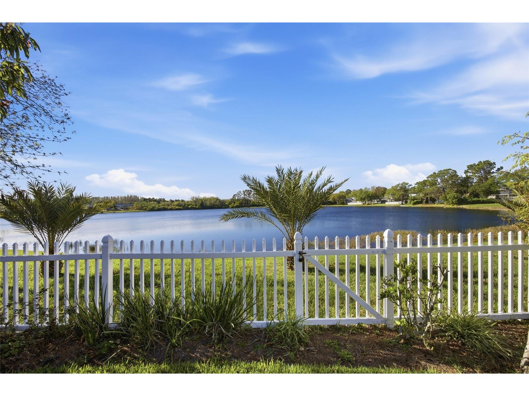 5112 Pheasant Woods Drive Lutz FL 33558 TB8477569 image45