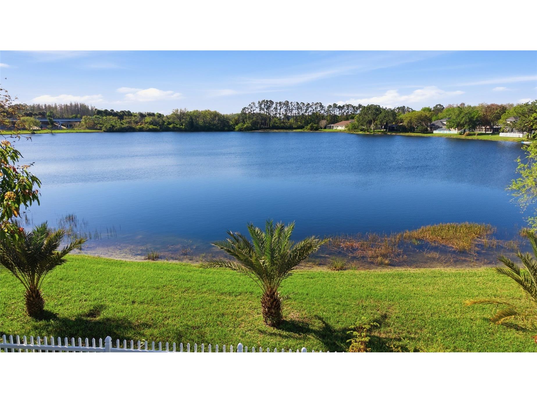 5112 Pheasant Woods Drive Lutz FL 33558 TB8477569 image47