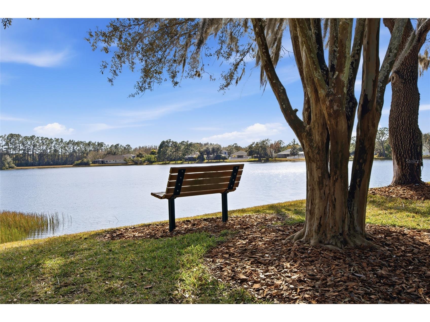 5112 Pheasant Woods Drive Lutz FL 33558 TB8477569 image48