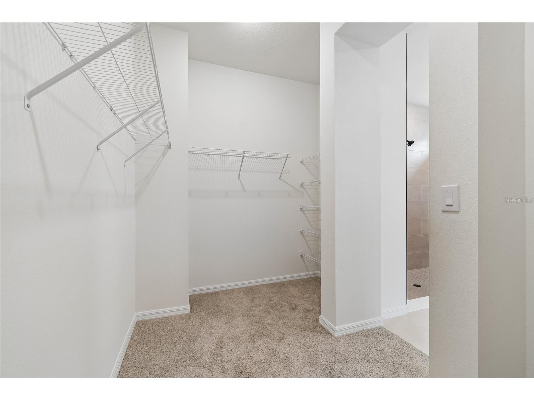 5113 Chapel Row Avenue Apollo Beach FL 33572 TB8493403 image20