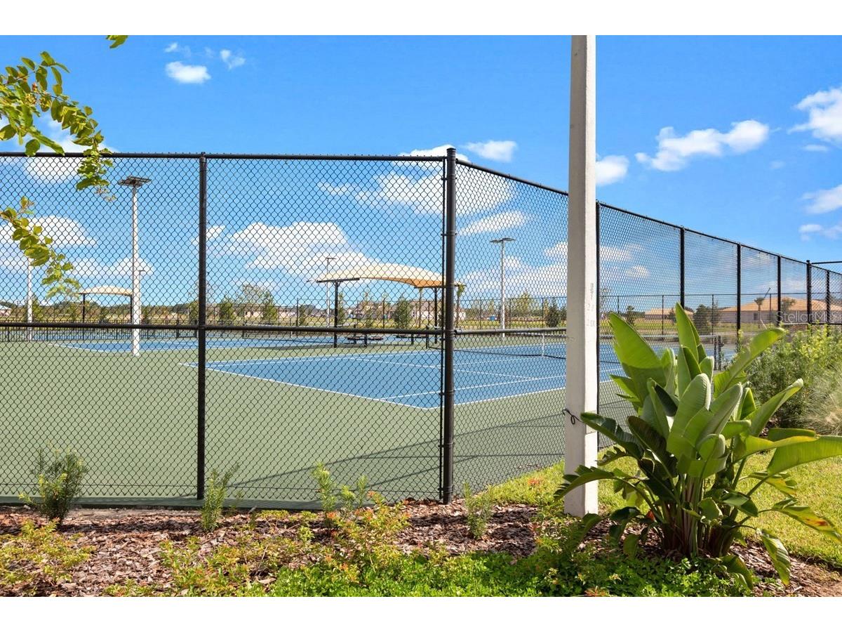 5113 Chapel Row Avenue Apollo Beach FL 33572 TB8493403 image33