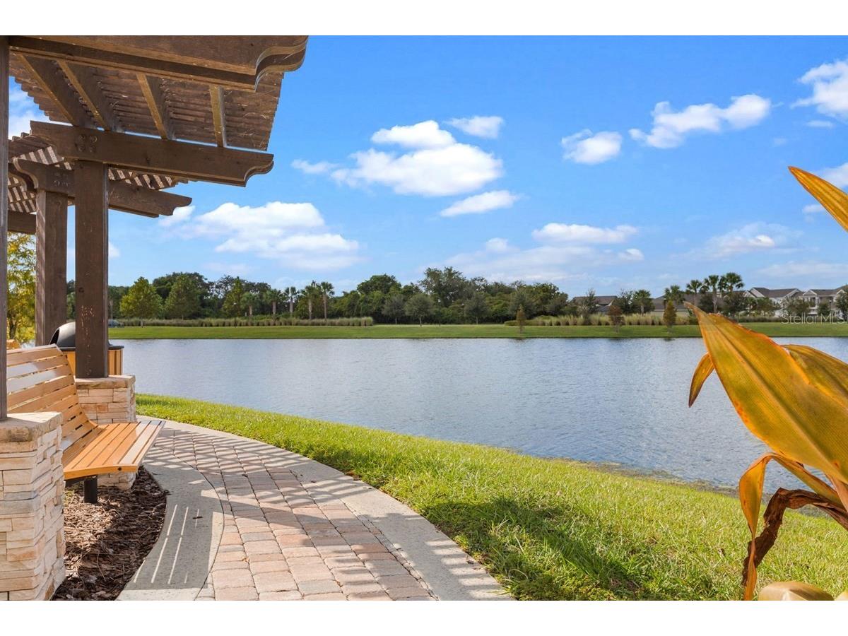 5113 Chapel Row Avenue Apollo Beach FL 33572 TB8493403 image34