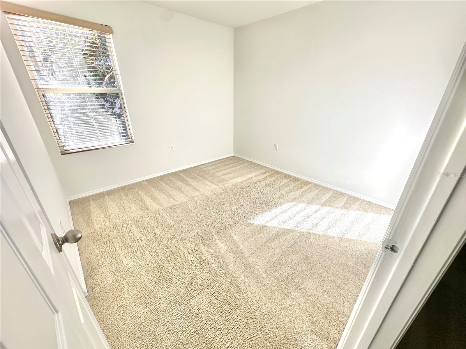 5113 Dominica Drive Kissimmee FL 34746 O6394945 image24