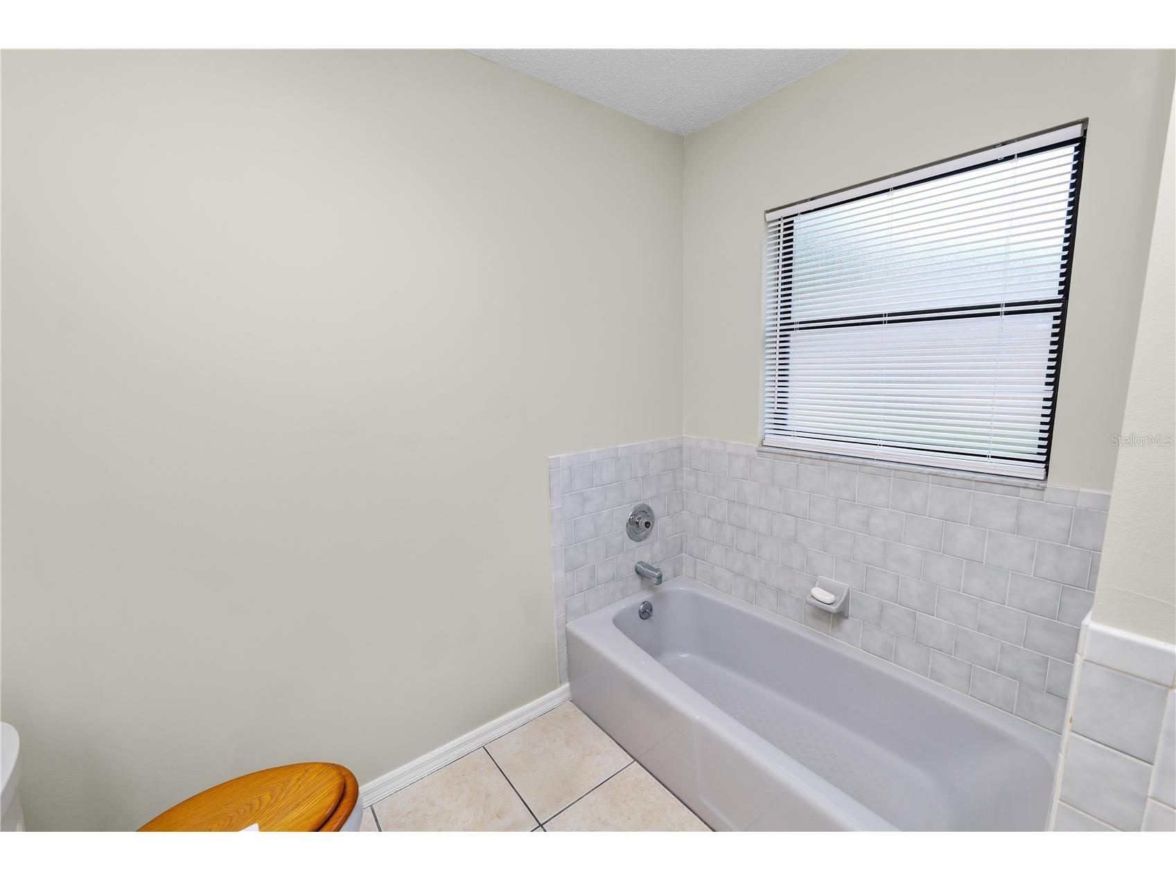 5113 Moll Acres Drive Plant City FL 33566 L4960313 image35