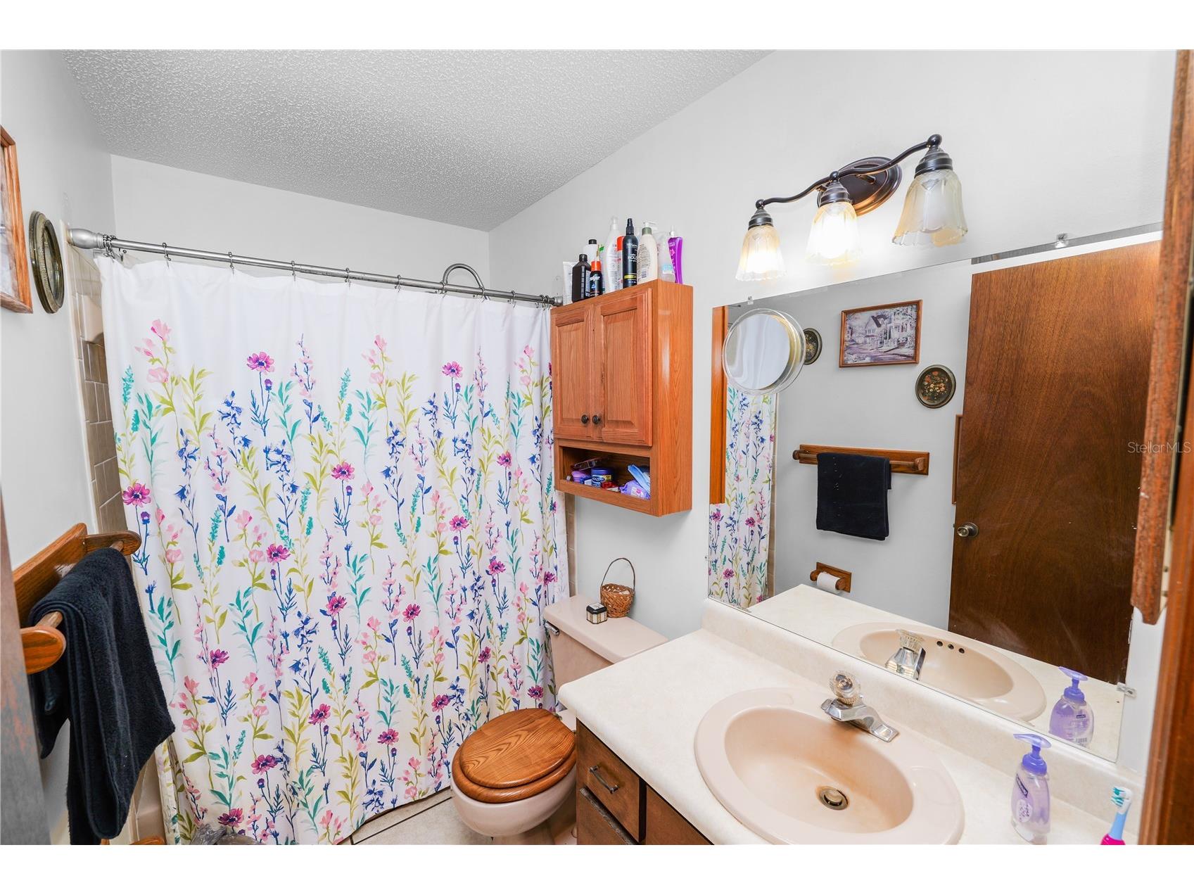 5113 Moll Acres Drive Plant City FL 33566 L4960313 image39