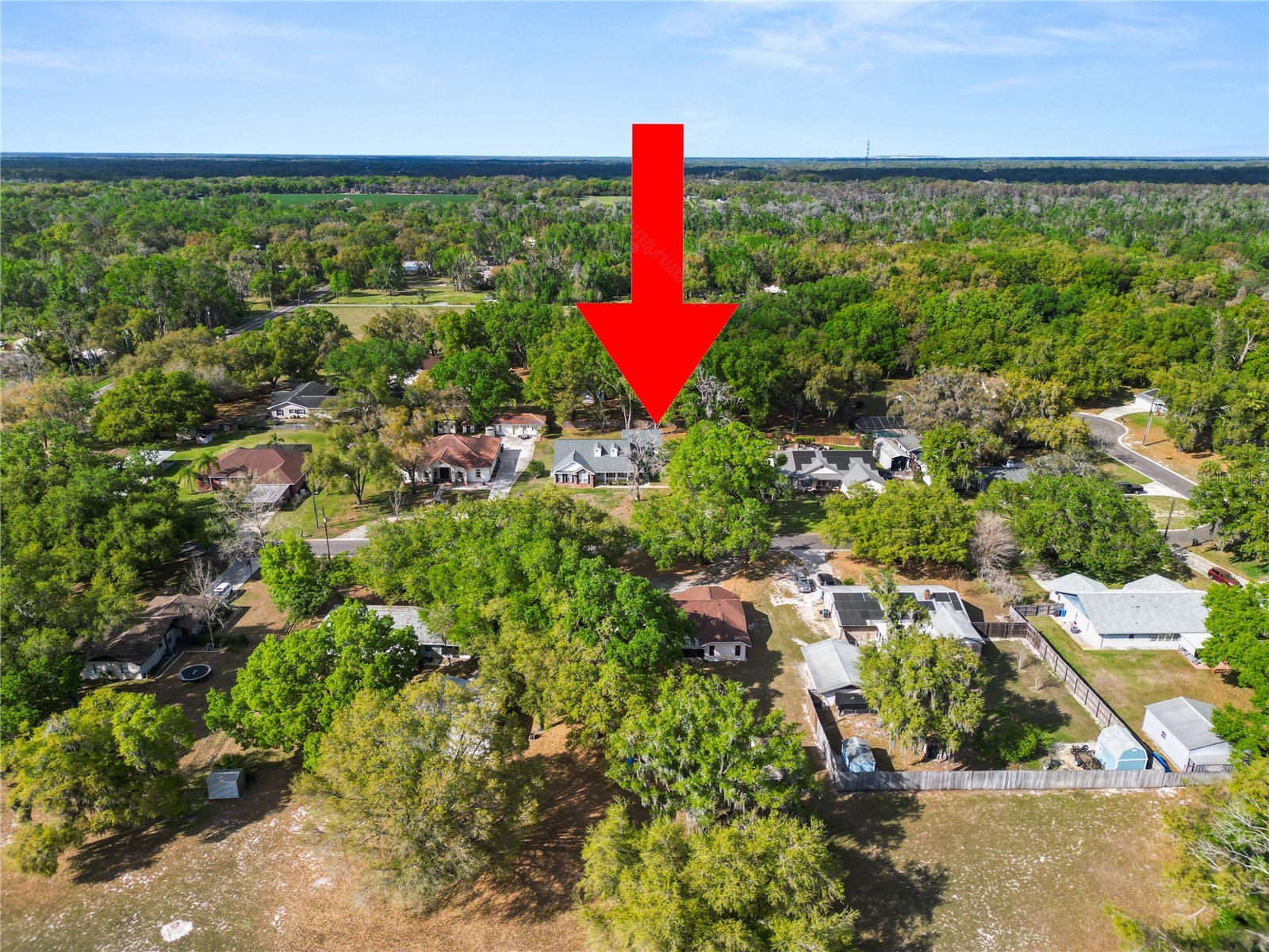 5113 Moll Acres Drive Plant City FL 33566 L4960313 image58