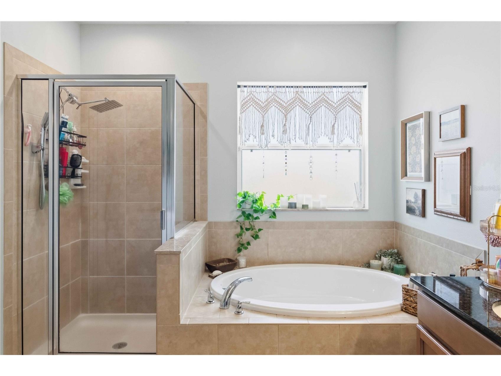 5113 Sanderling Ridge Drive Lithia FL 33547 TB8493780 image27
