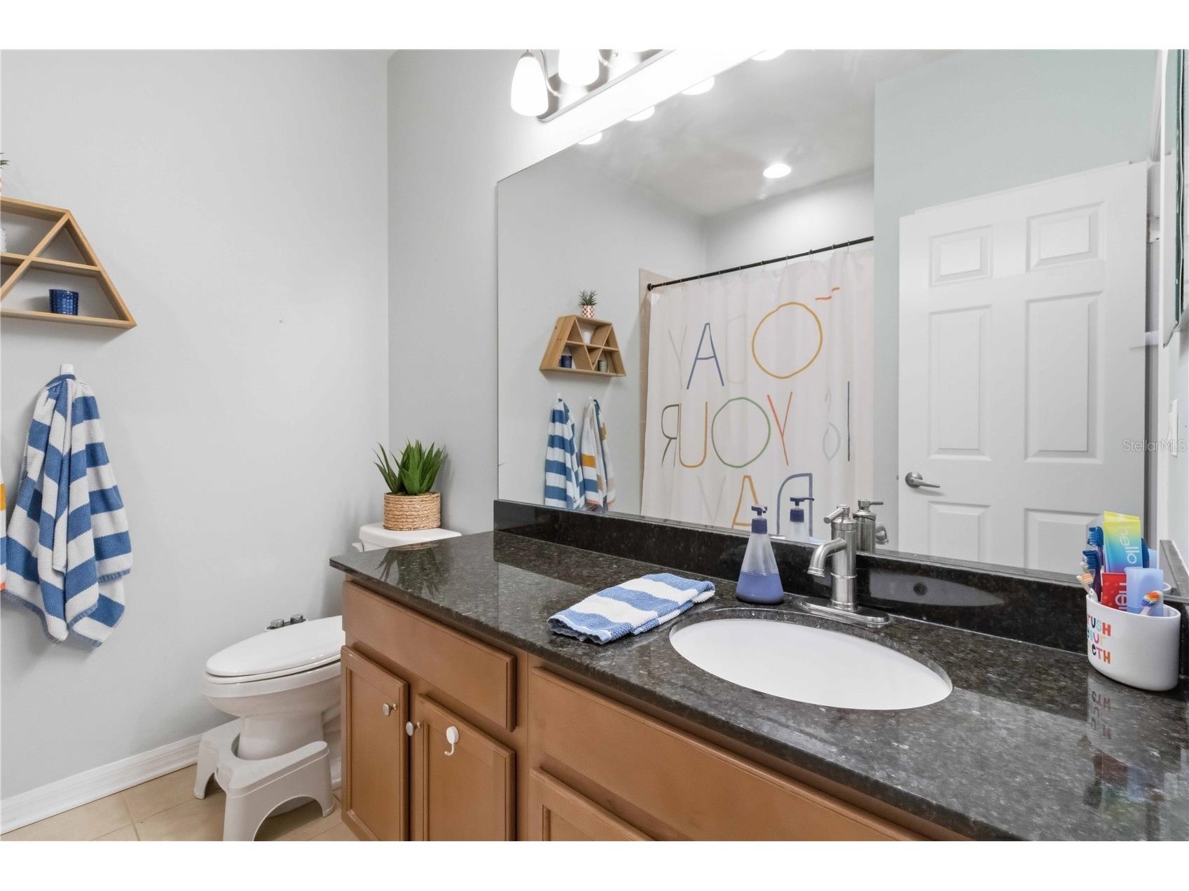 5113 Sanderling Ridge Drive Lithia FL 33547 TB8493780 image33