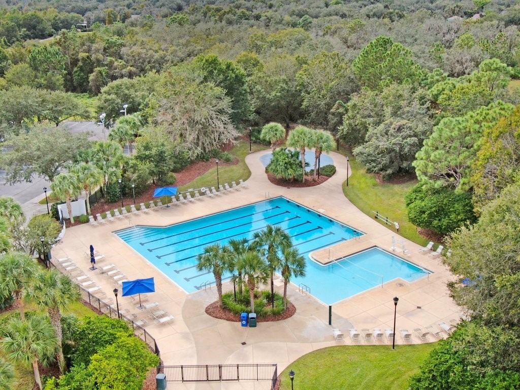 5113 Sanderling Ridge Drive Lithia FL 33547 TB8493780 image55