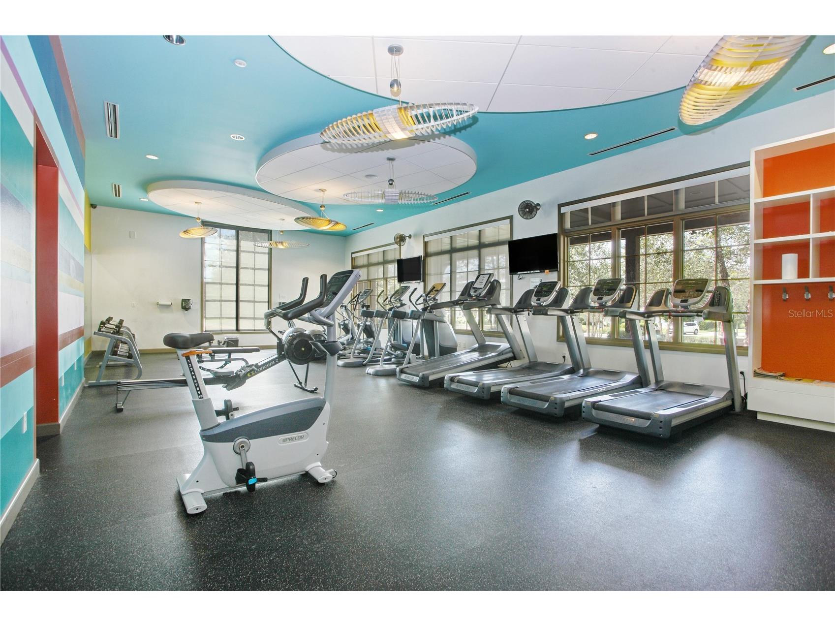 5113 Sanderling Ridge Drive Lithia FL 33547 TB8493780 image62