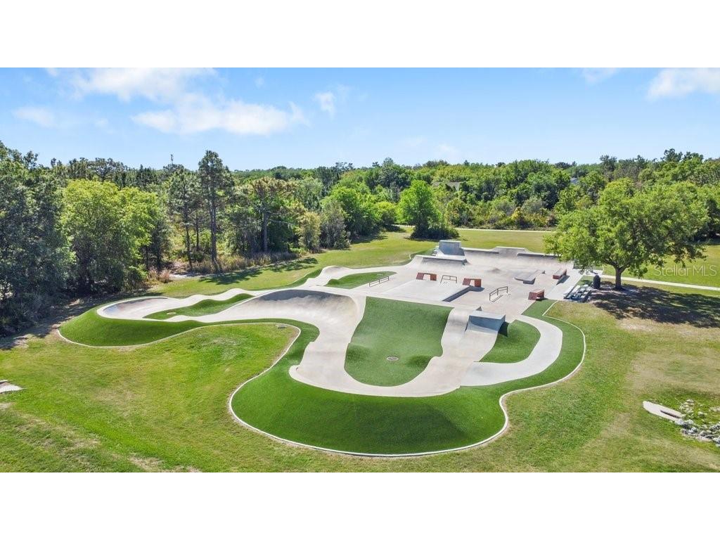5113 Sanderling Ridge Drive Lithia FL 33547 TB8493780 image63