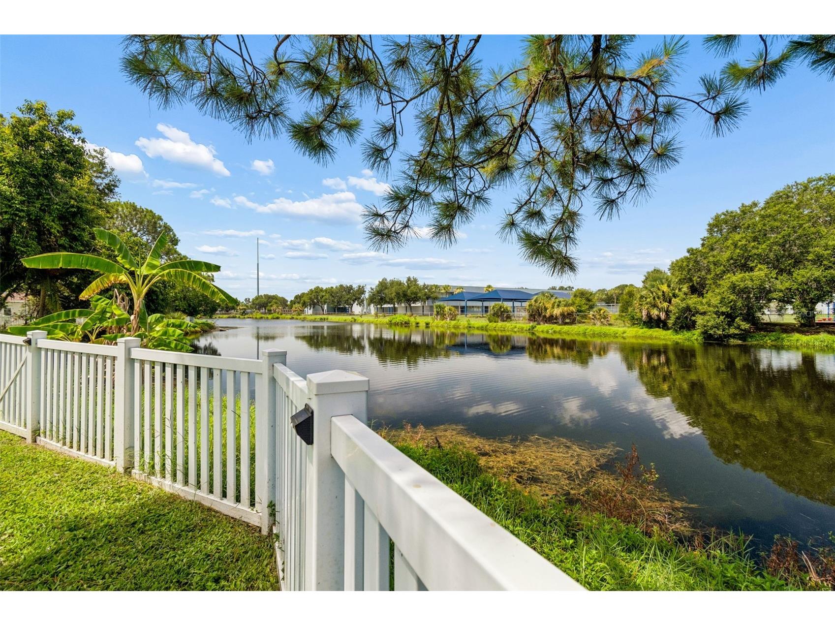 5114 Stonehaven Court Tampa FL 33624 TB8518731 image46