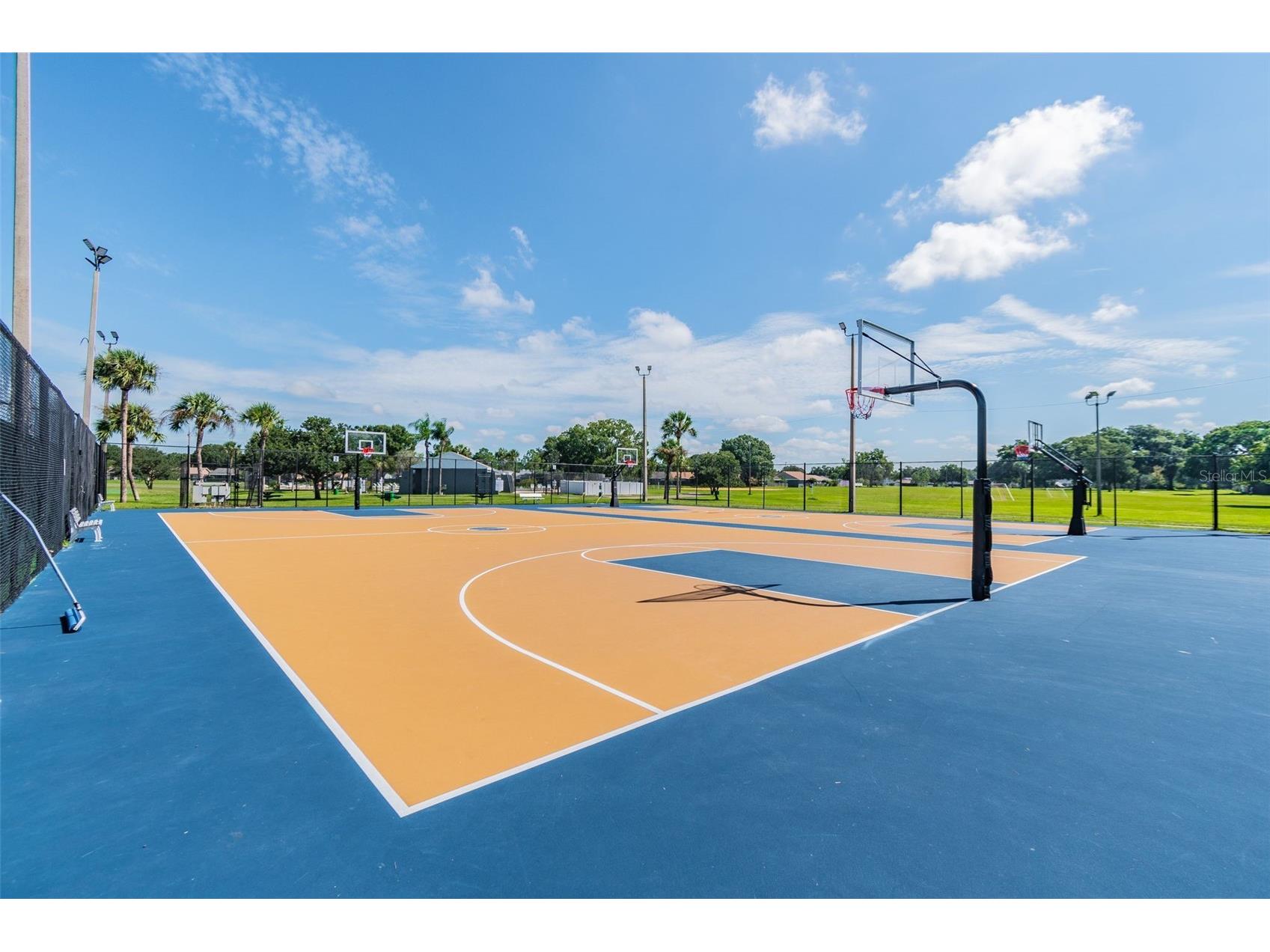 5114 Stonehaven Court Tampa FL 33624 TB8518731 image68