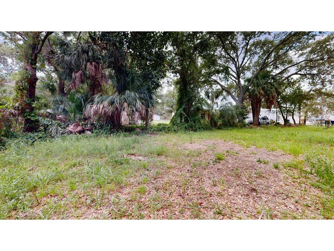 5115 W Grace Street Tampa FL 33607 T3546959 image3