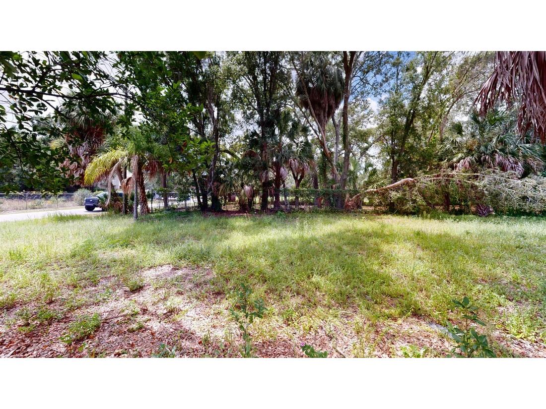 5115 W Grace Street Tampa FL 33607 T3546959 image4