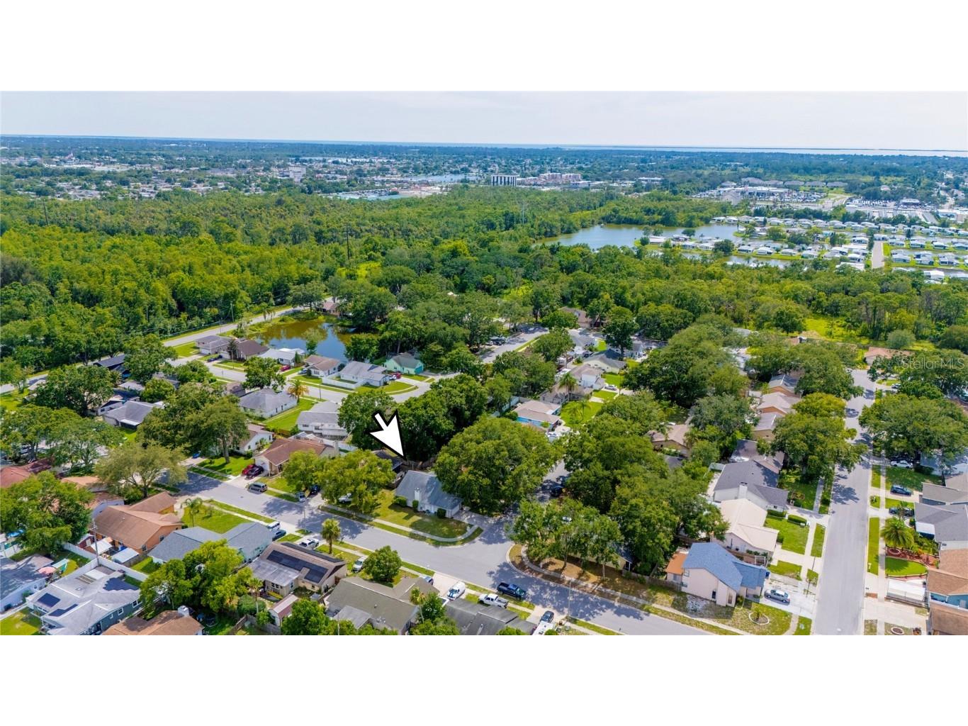 5116 Plantation Drive Holiday FL 34690 TB8402886 image32