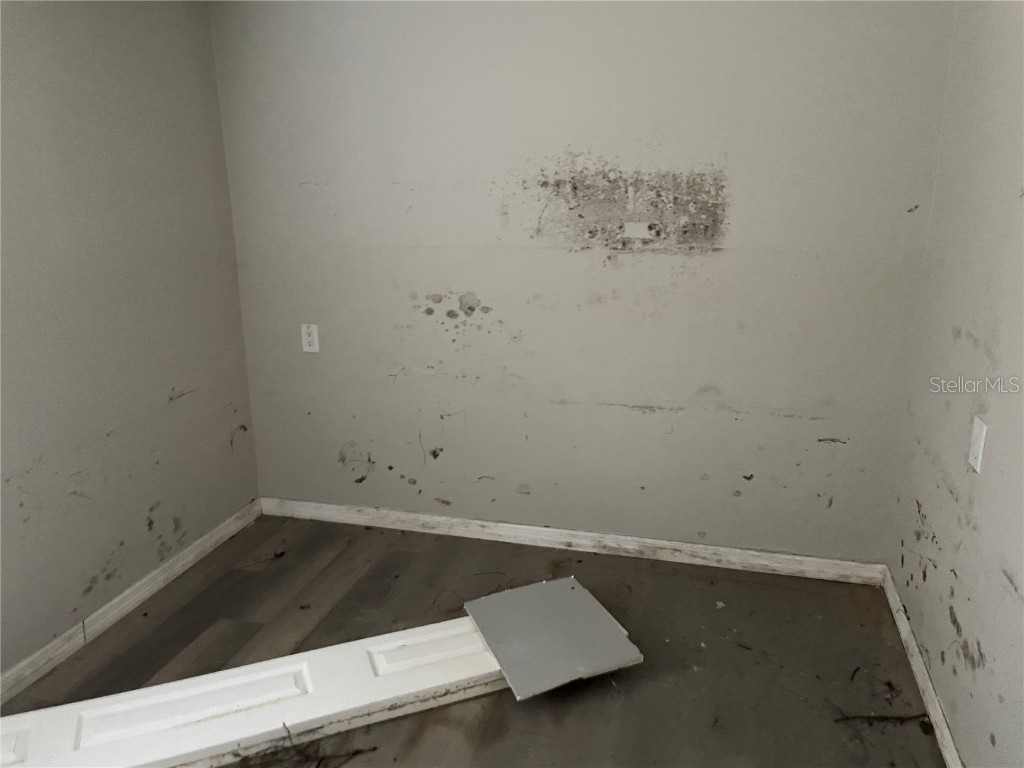 5117 Behms Ct Port Richey FL 34668 O6271086 image4