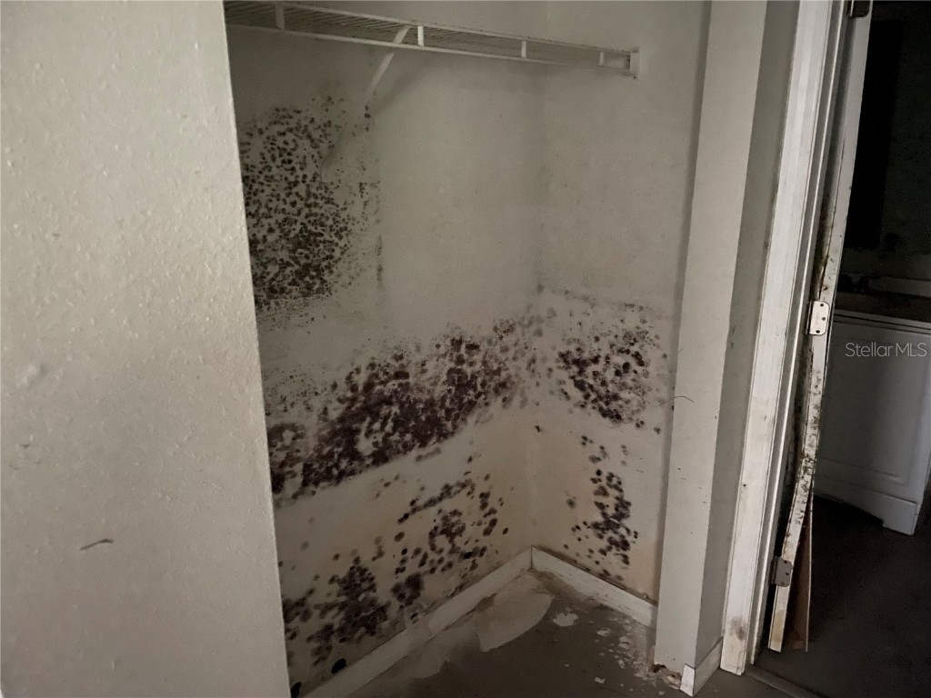 5117 Behms Ct Port Richey FL 34668 O6271086 image5