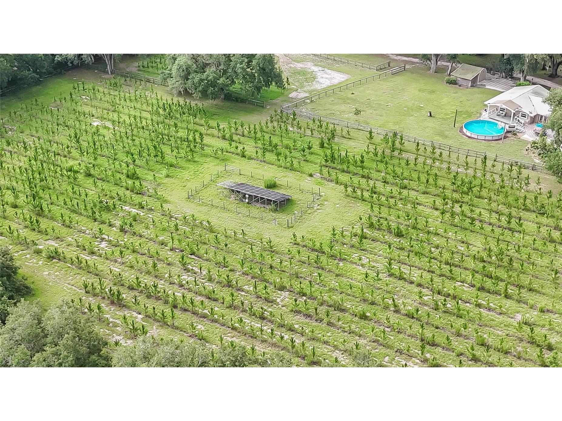 5117 Cr 316a Bushnell FL 33513 TB8517259 image11