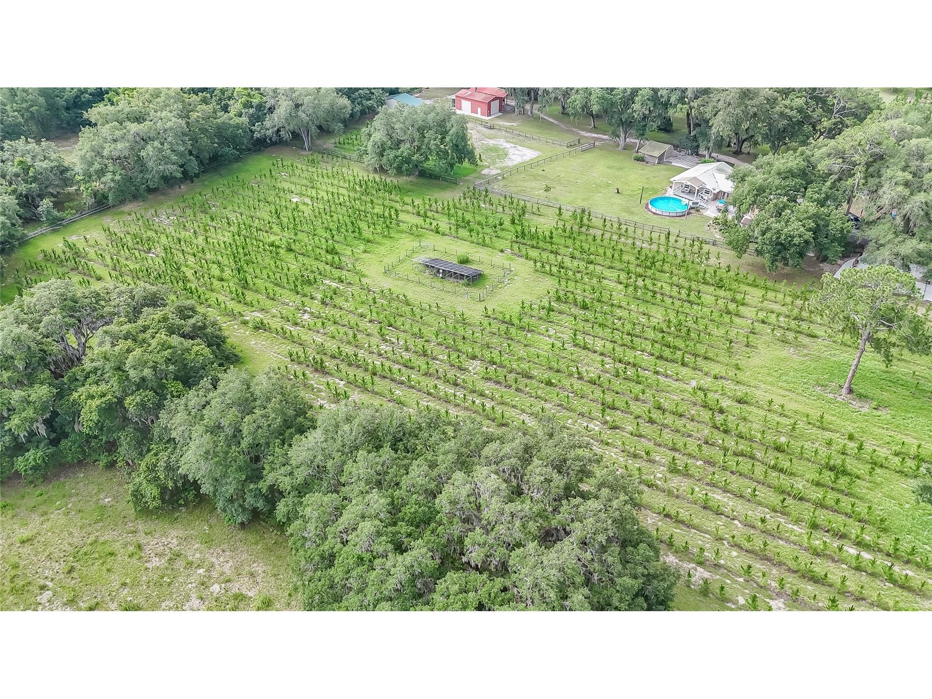 5117 Cr 316a Bushnell FL 33513 TB8517259 image29