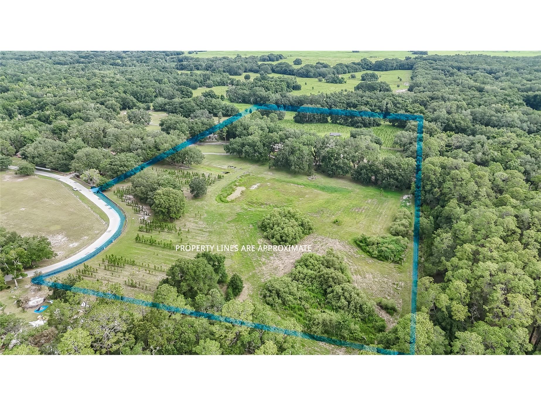 5117 Cr 316a Bushnell FL 33513 TB8517259 image3