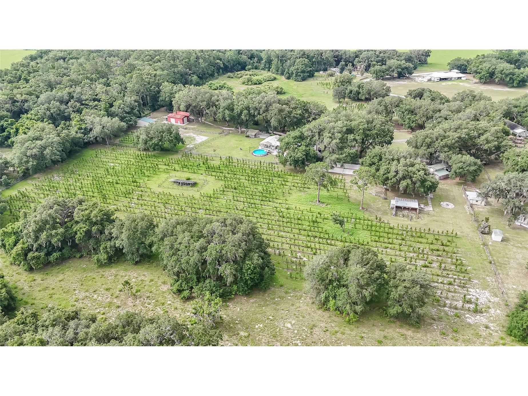 5117 Cr 316a Bushnell FL 33513 TB8517259 image30