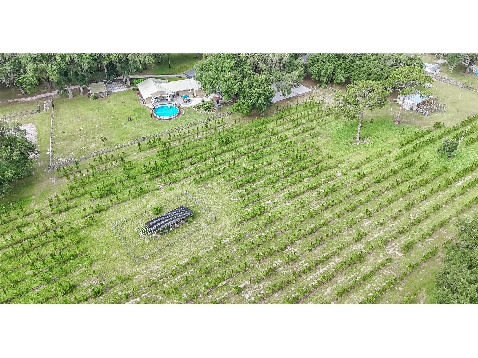 5117 Cr 316a Bushnell FL 33513 TB8517259 image32