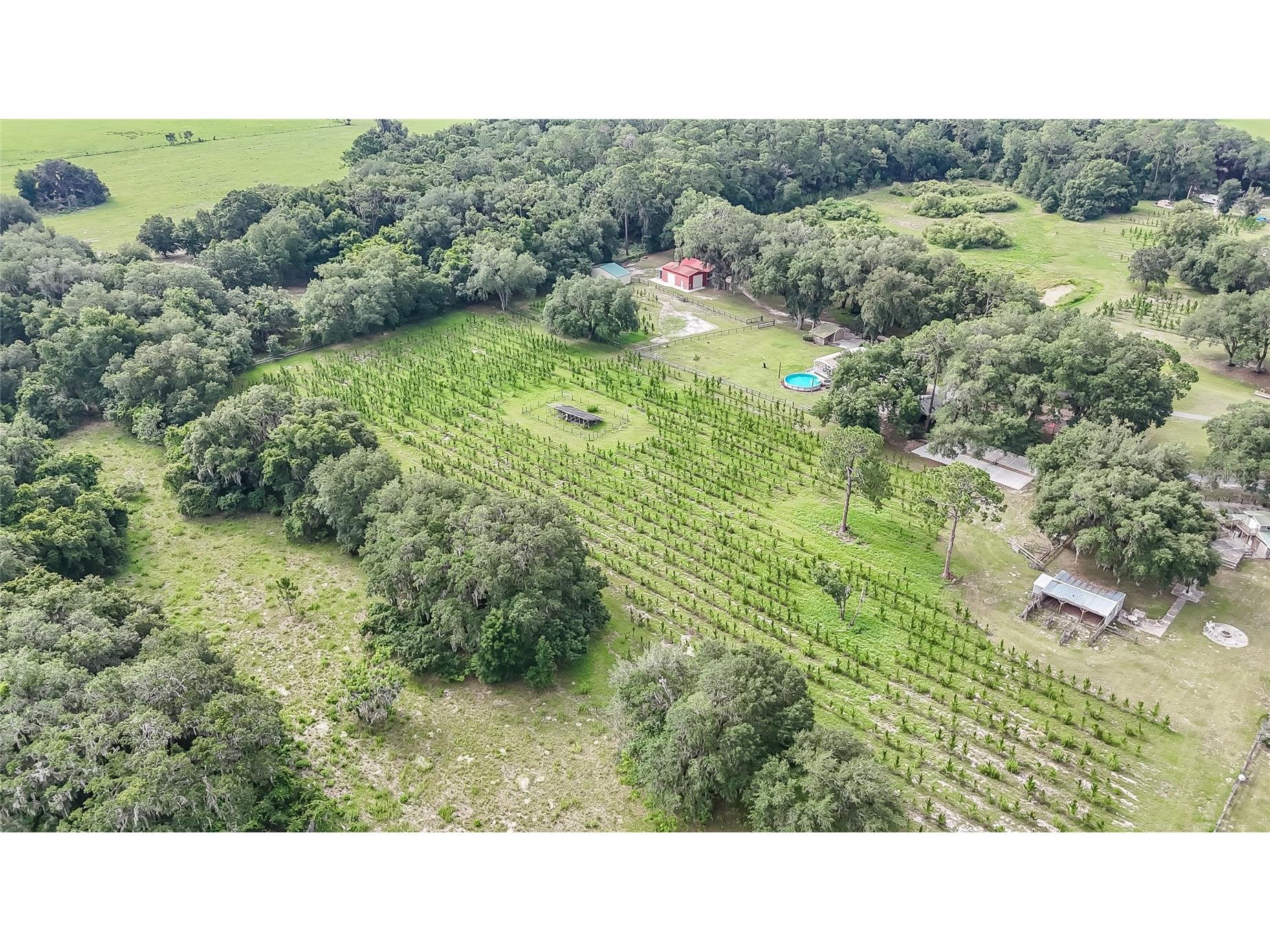 5117 Cr 316a Bushnell FL 33513 TB8517259 image33