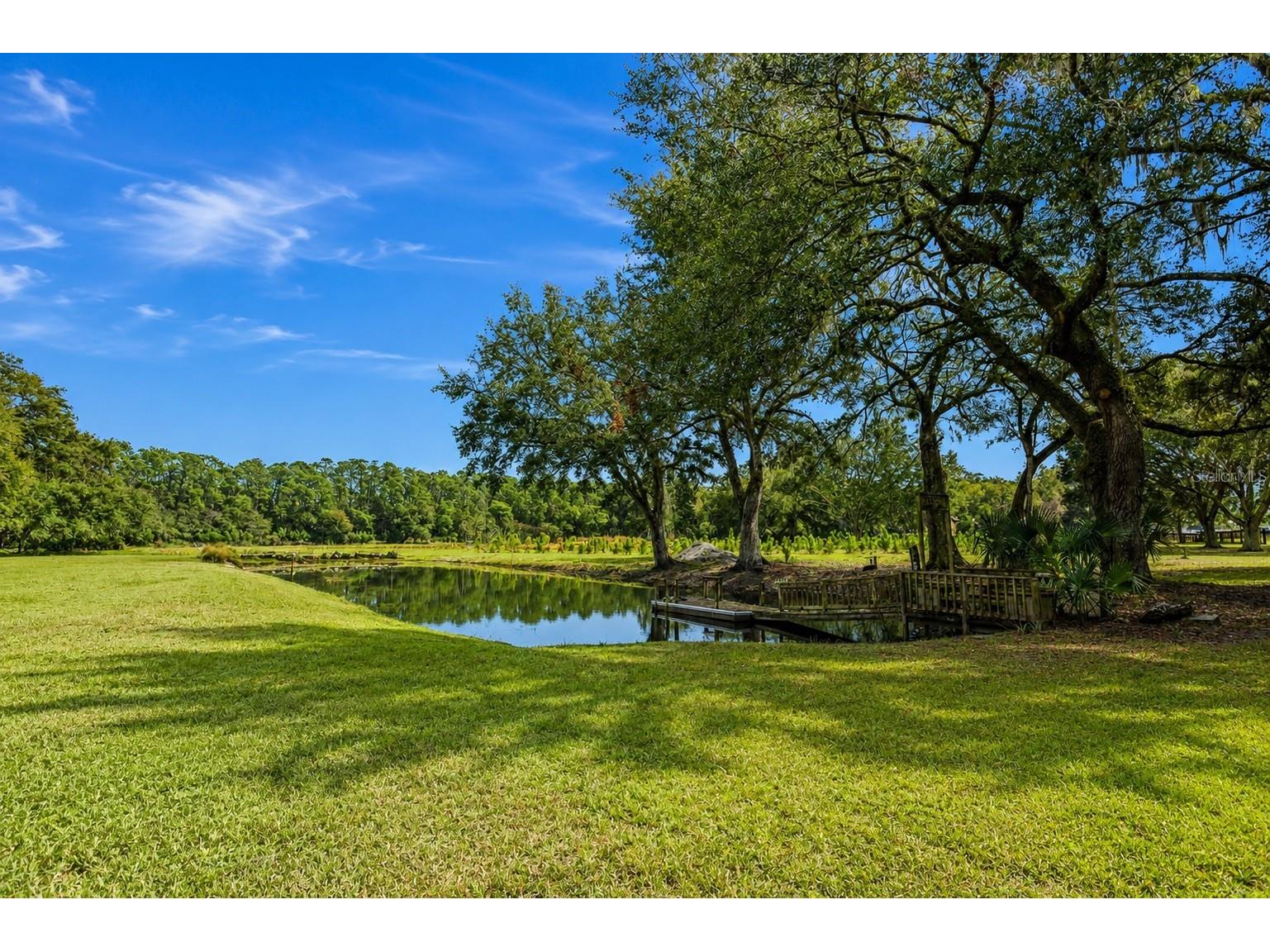 5117 Cr 316a Bushnell FL 33513 TB8517259 image8